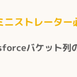 【アドミニストレーター必読！】Salesforceバケット列の極意