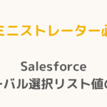 【アドミニストレーター必読！】Salesforceグローバル選択リスト値の極意