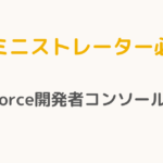 【アドミニストレーター必読！】Salesforce開発者コンソールの極意